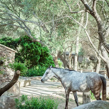 Hotel Ranch Campo Palombaggia Porto Vecchio