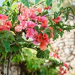 Ranch Campo Palombaggia בית כפרי *