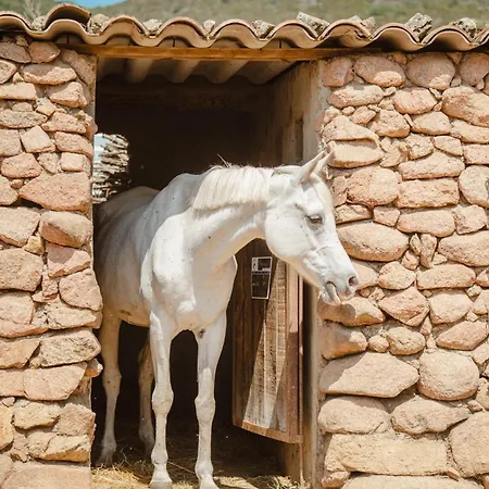 Ranch Campo Palombaggia 维琪奥港