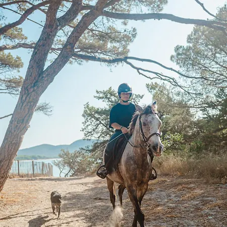酒店 Ranch Campo Palombaggia